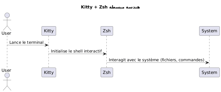 kitty zsh overview