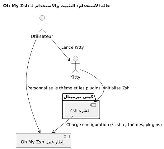 ohmyzsh installation