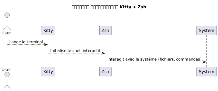 kitty zsh overview