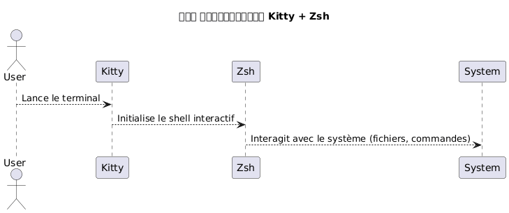 kitty zsh overview