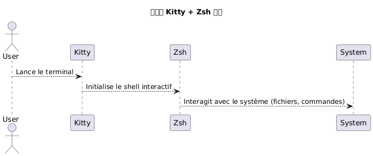 kitty zsh overview